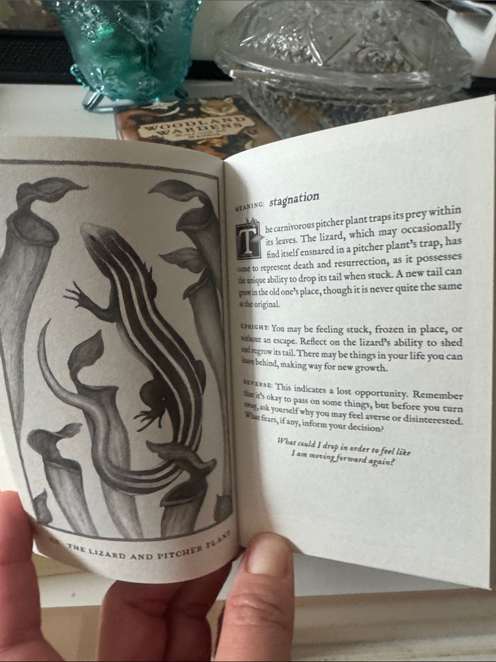 Jessica Woodland Wardens Oracle Deck - beautiful cards - Picture 3 of 4